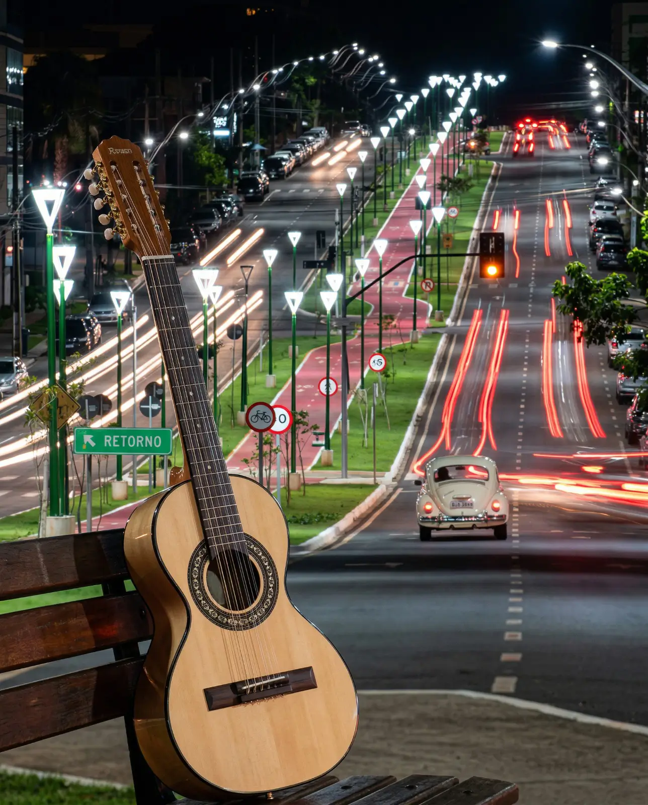 Viola em Maringá/PR